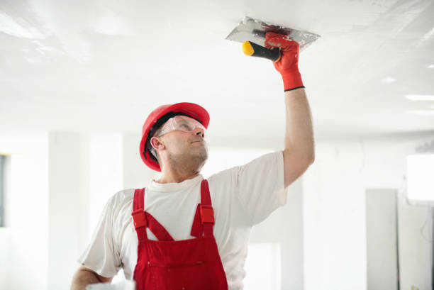 Best Eco-Friendly and Low-VOC Painting  in Jeffersontown, KY